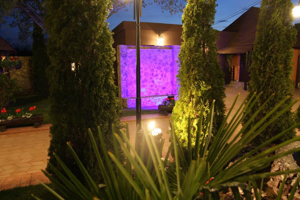 Rixo'S Guesthouse Cîrcea Екстериор снимка
