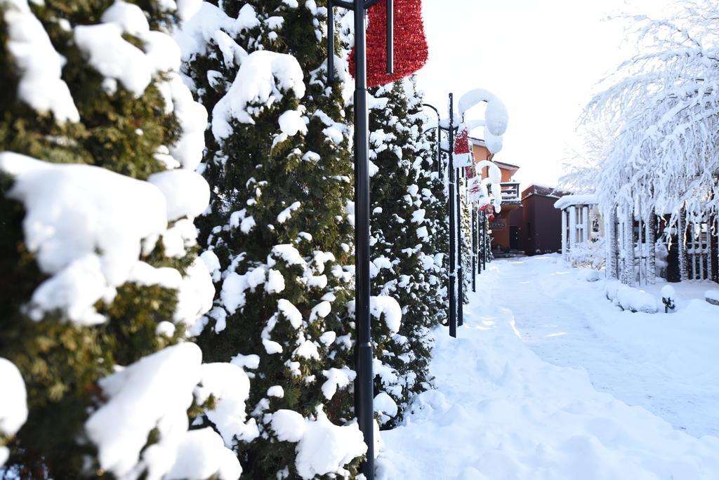 Rixo'S Guesthouse Cîrcea Екстериор снимка